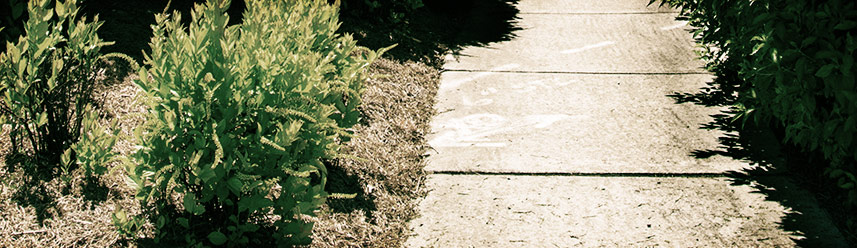 专业版强大的doss网站攻击